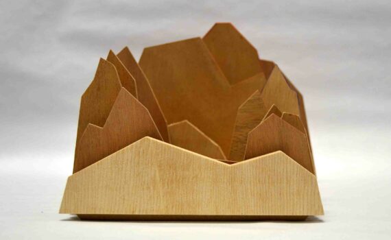 Le porte revue / vide poche éco-conçu en chutes de bois