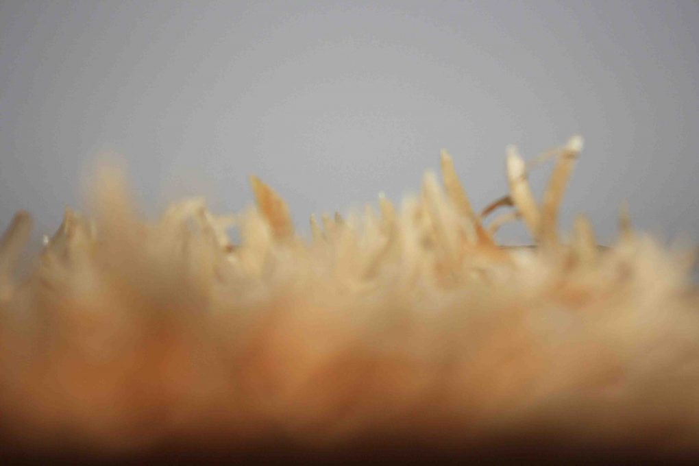 Réutiliser des chutes de bois pour créer des motifs qui valorise les spécificités du bois