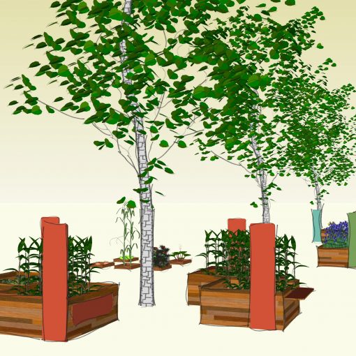 3D coltivando (Sketch Up)