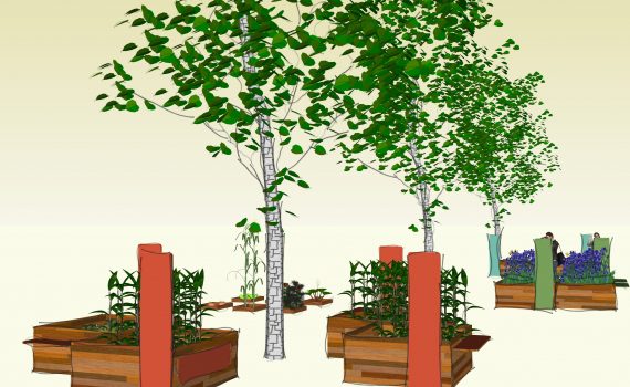 3D coltivando (Sketch Up)